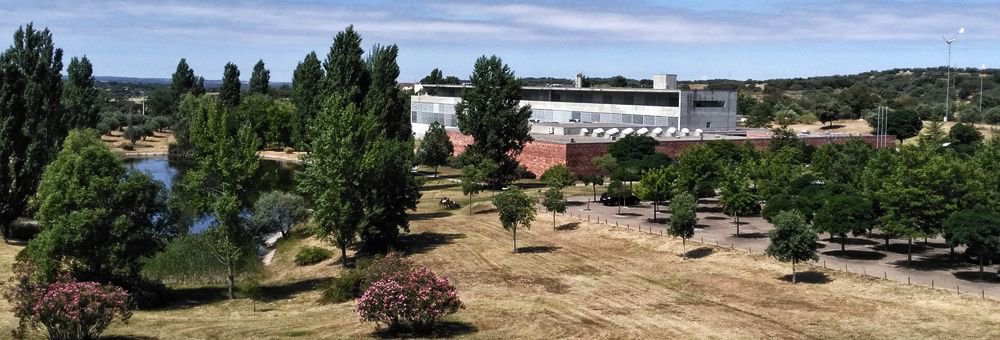 Escola Superior de Saúde - Campus Politécnico