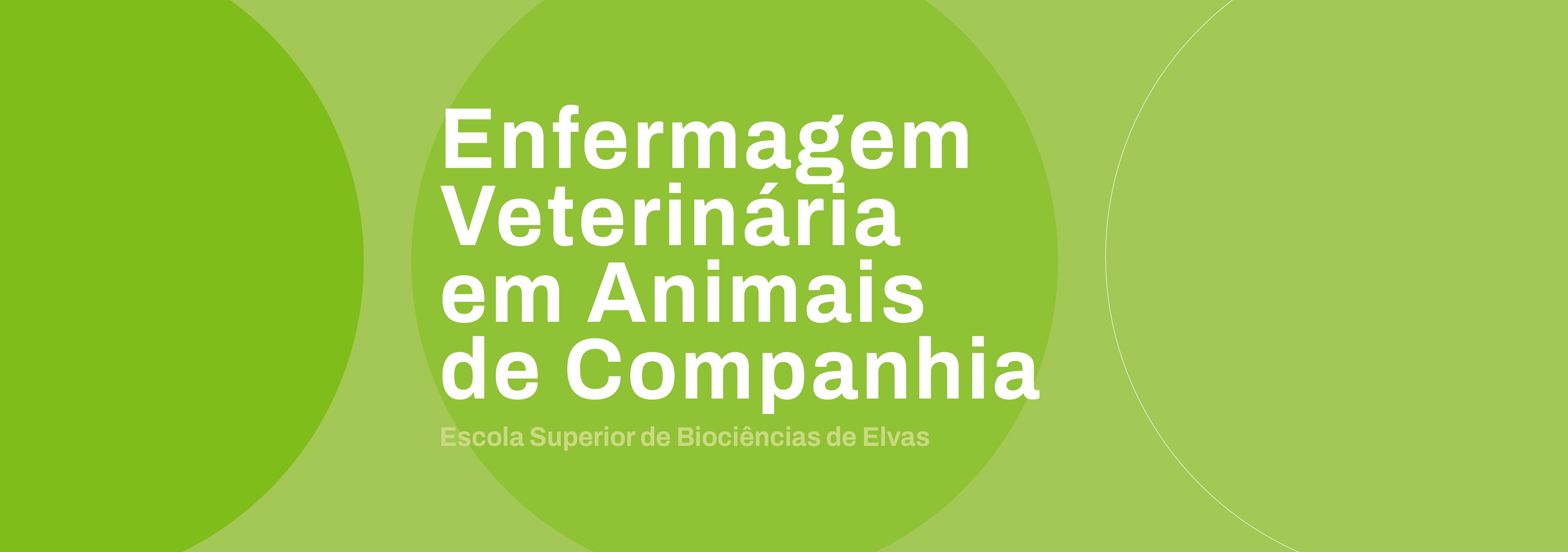 Mestrados_2024_Enfermagem_Veterinaria_Animais_Companhia.jpg